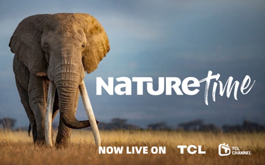 TCL Channel gana dos nuevos canales de streaming gratuitos Lucas Laruffa