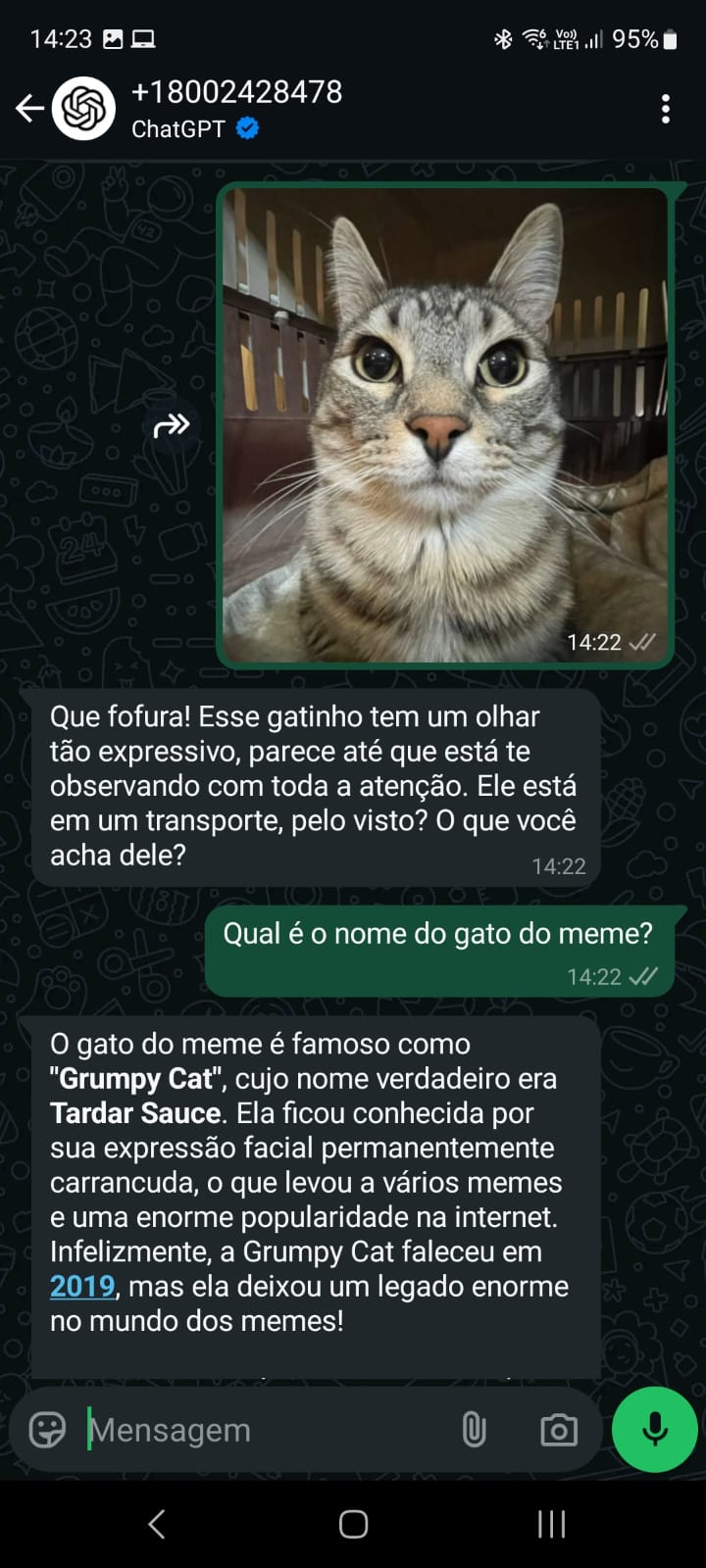 Hablando con chatgpu en whatsapp