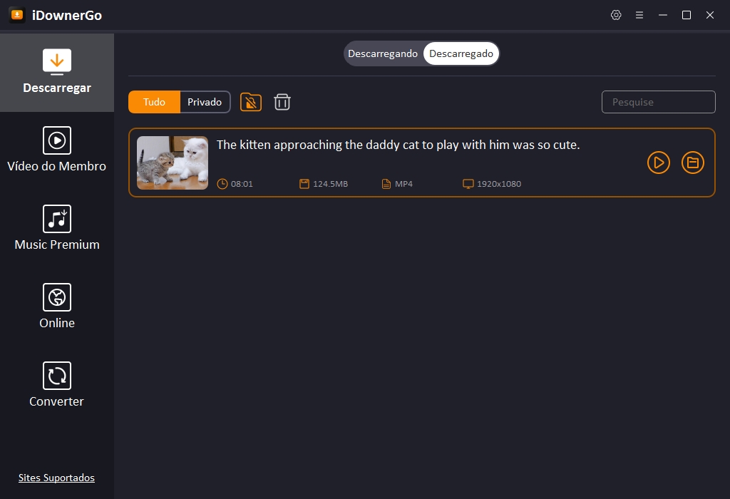 Video Downloader Idownergo