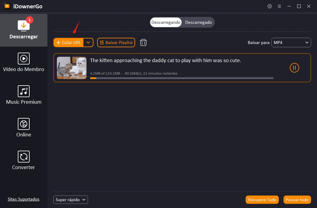 Video Downloader Idownergo