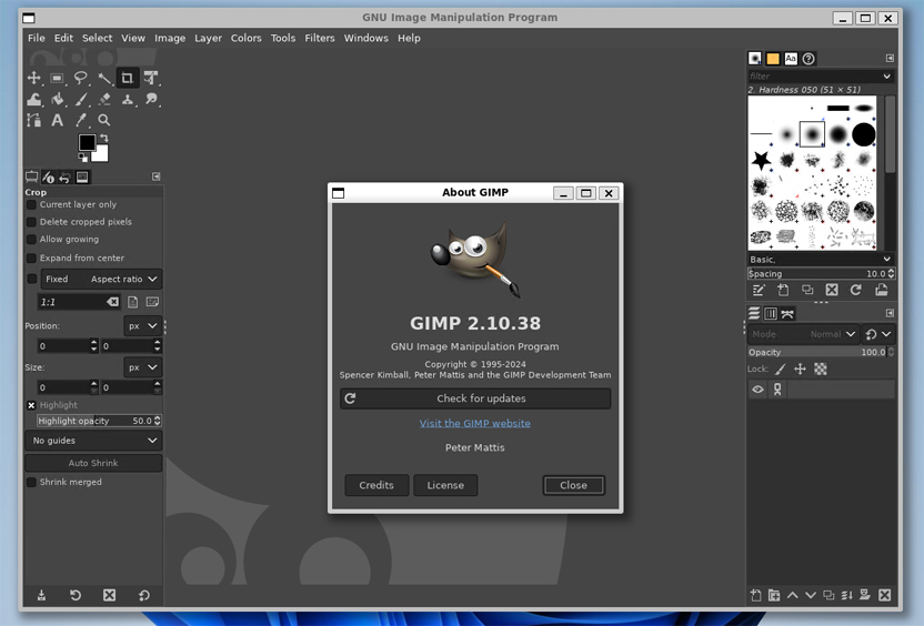 Linux GIMP en Windows 11
