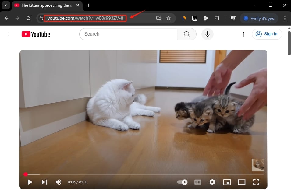 Video Downloader Idownergo