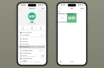 WhatsApp prueba la gestión de la memoria en los chats individuales y los stickers de reacción de estado – MacMagazine