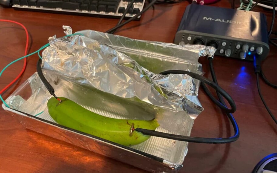 Prueba a ciegas revela que los audiófilos no diferencian entre sonido transmitido por hilo de cobre, plátano o barro