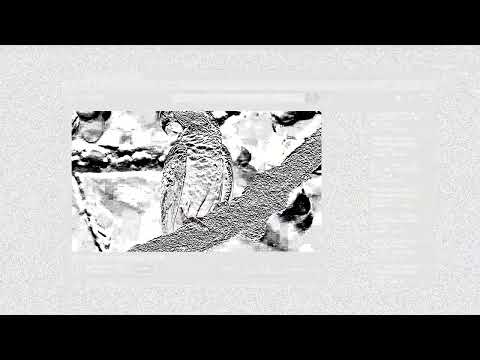 vídeo de youtube