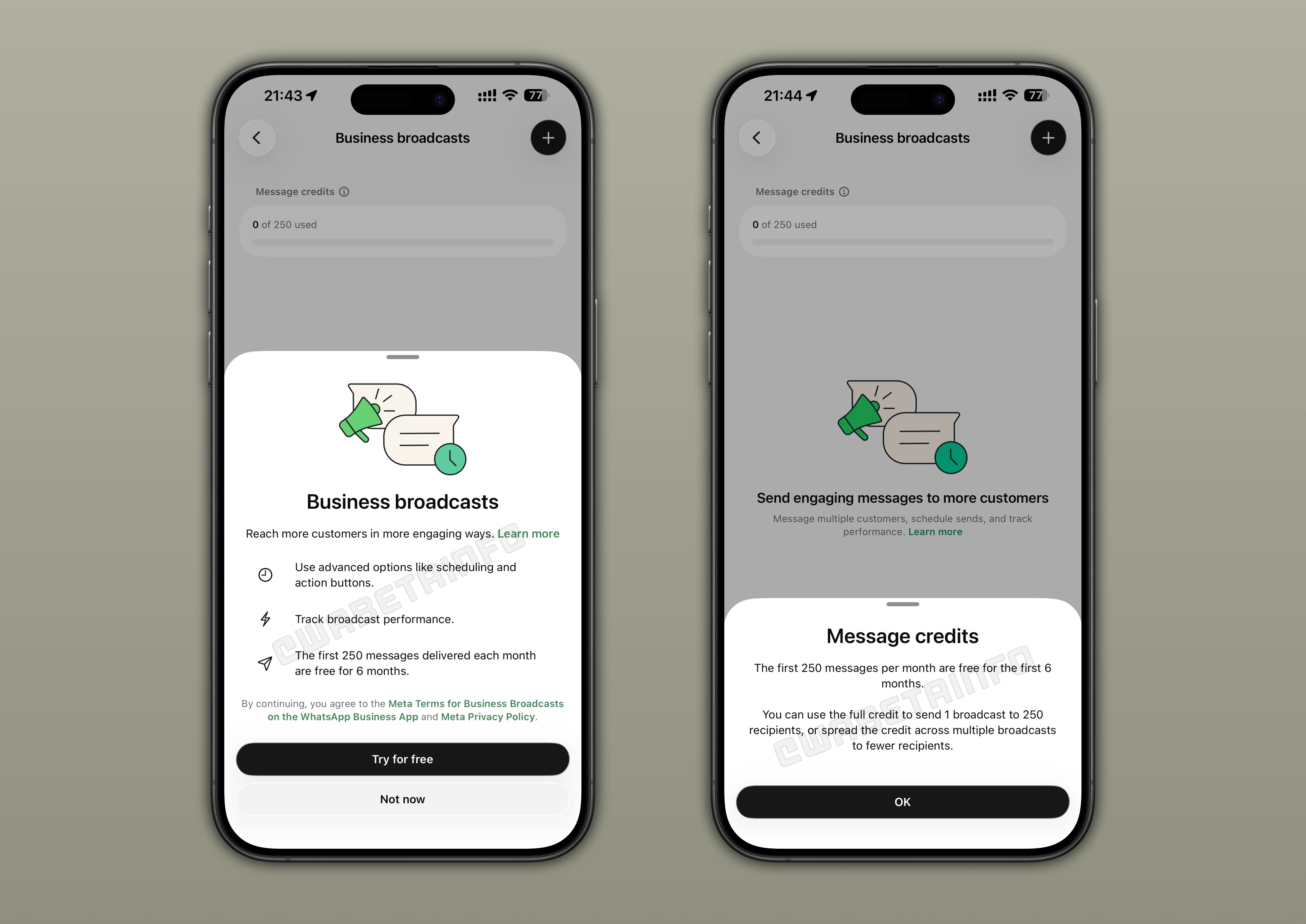 whatsapp beta