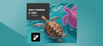 Photoshop: la herramienta «Eliminar» ahora puede usar procesamiento de IA local – MacMagazine