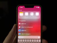 Un error hace que las herramientas de búsqueda de iOS dejen de funcionar por completo – MacMagazine