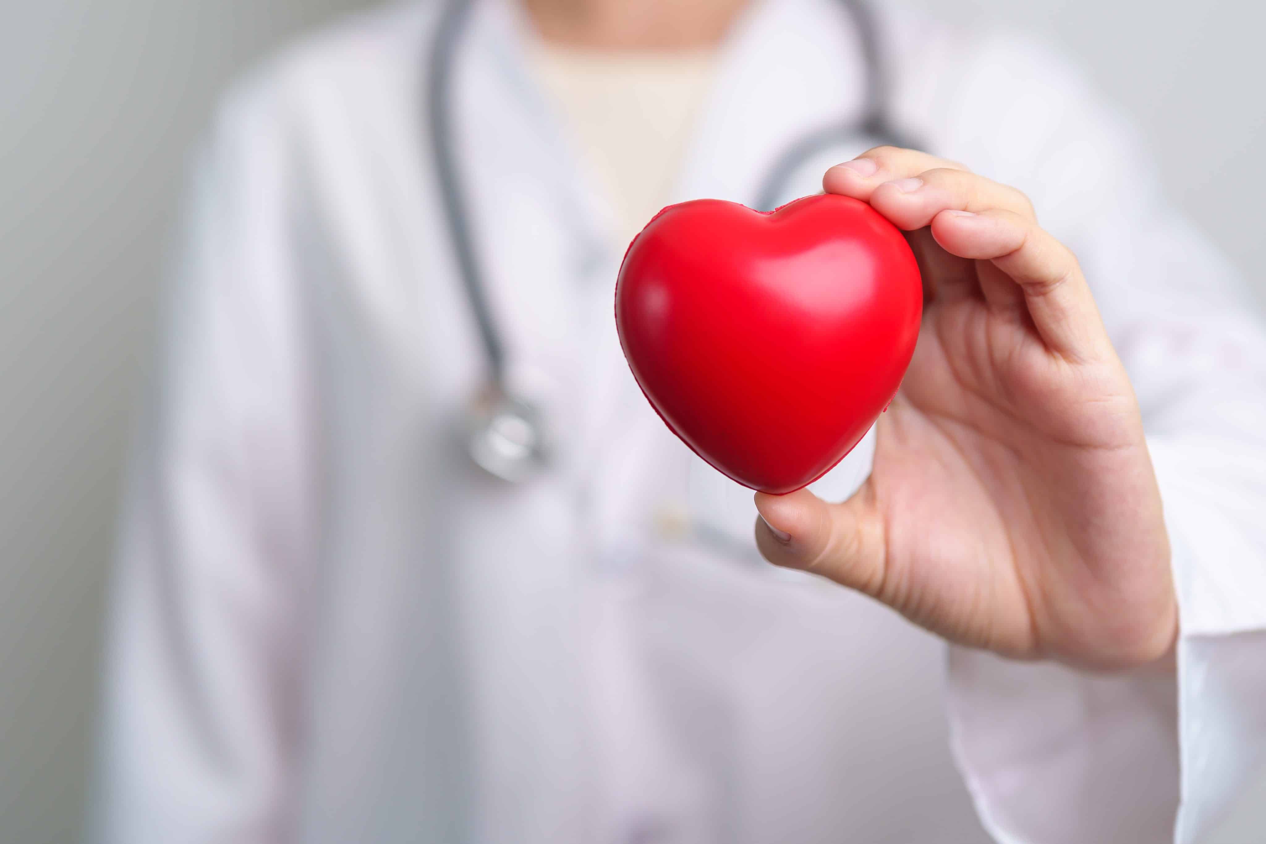 Doctor sosteniendo un corazón falso, que representa la salud.