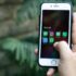 WhatsApp está probando la traducción automática de mensajes en iOS – MacMagazine