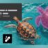 Apple desarrolla una IA capaz de generar avatares 3D realistas a partir de fotografías – MacMagazine