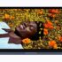¡Aprovecha las promociones del Amazon Prime Day en Brasil! -MacRevista